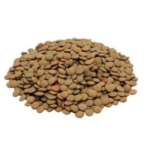 Lentejon x500gr