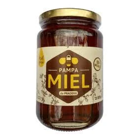 Miel Pampa liquida x1kg pura